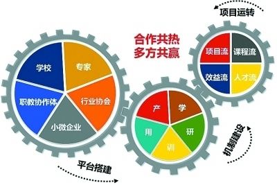 仙人掌类浇水时应掌握什么原则